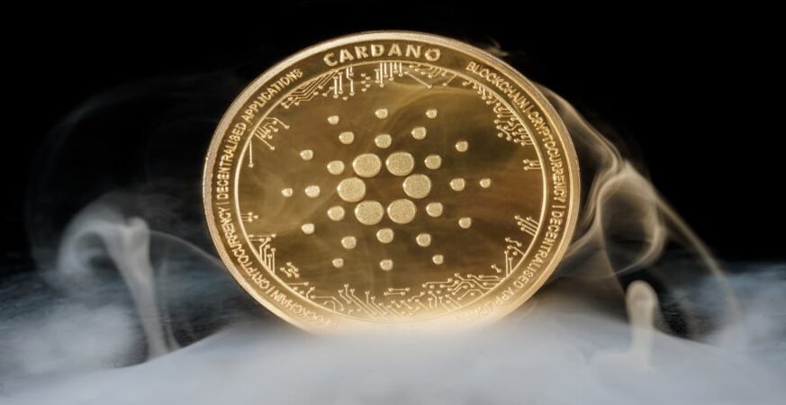 Cardano (ADA) Price Surge: Unveiling the Driving Forces Behind Today's Impressive Financial Growth